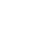Fast Icon