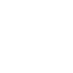 Expertise Icon