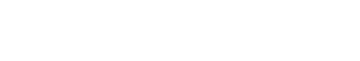 Wordvice Logo